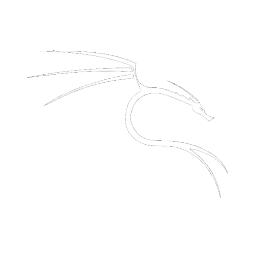 Kali Linux Image